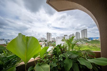 The Jungle Residence